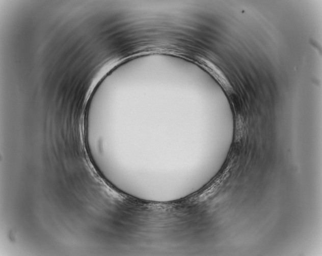 X0000096140812200802081347