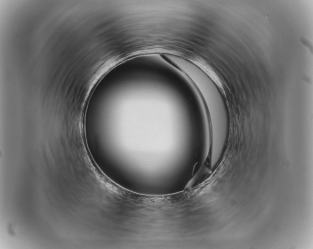 X0000096140813200802081347