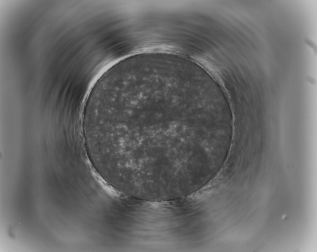 X0000096140816200802081347