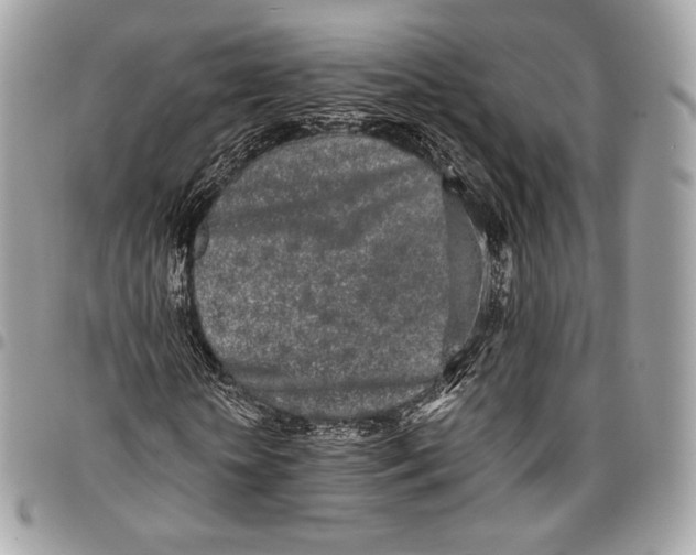 X0000096140818200802081346