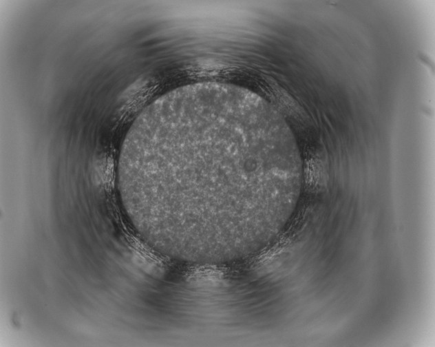 X0000096140820200802081346