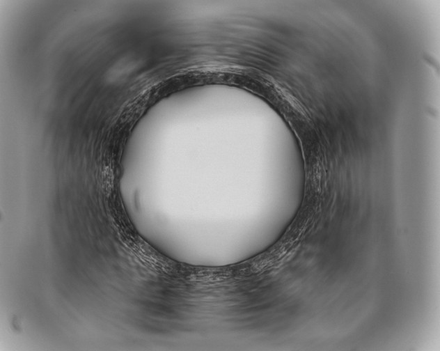 X0000096140821200802081346