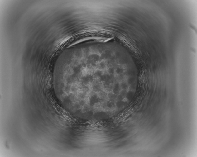 X0000096140822200802081346