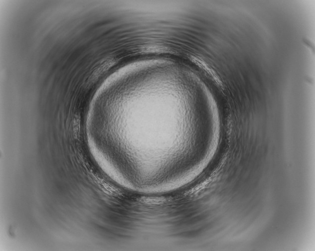 X0000096140825200802081346