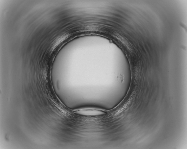 X0000096140826200802081346