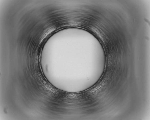 X0000096140827200802081346