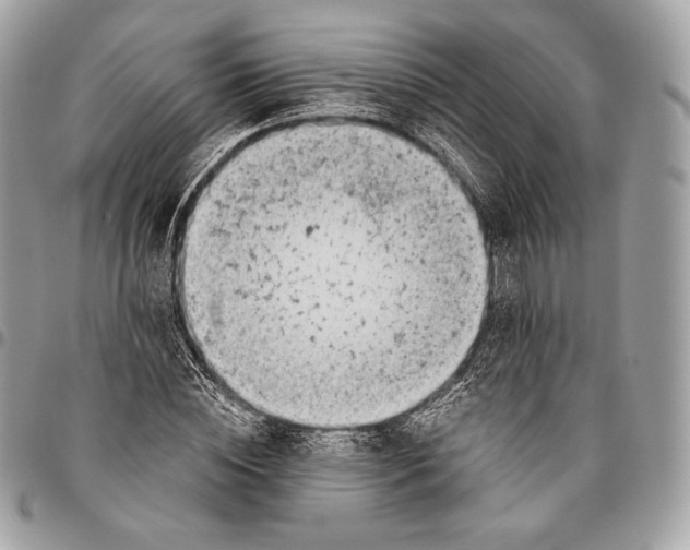 X0000096140828200802081346
