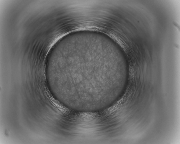 X0000096140830200802081346