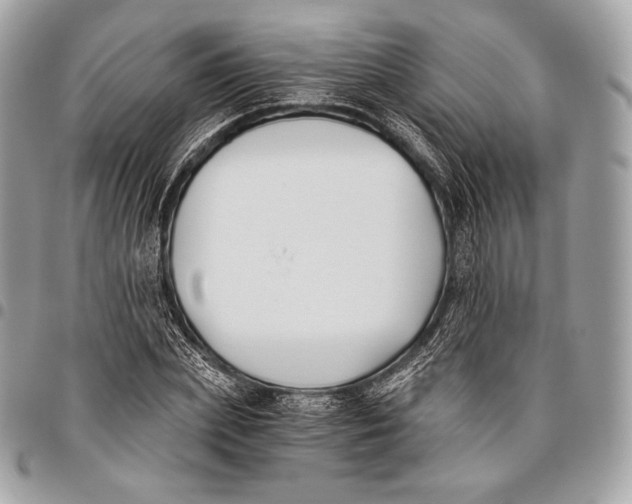X0000096140831200802081346