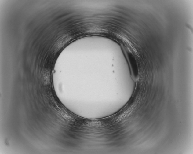 X0000096140833200802081346