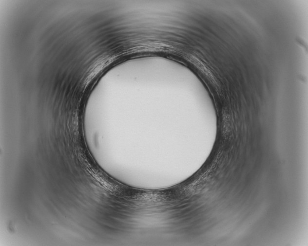X0000096140834200802081346