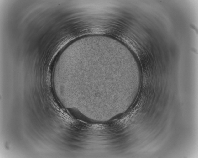 X0000096140835200802081346