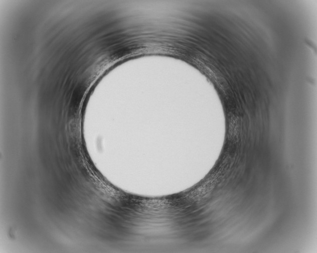 X0000096140836200802081346
