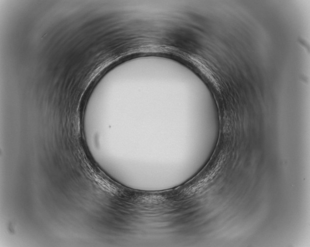 X0000096140837200802081346