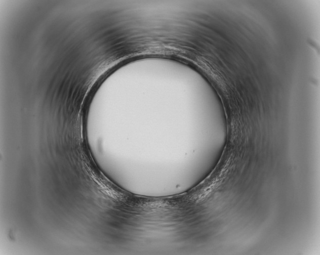 X0000096140838200802081346