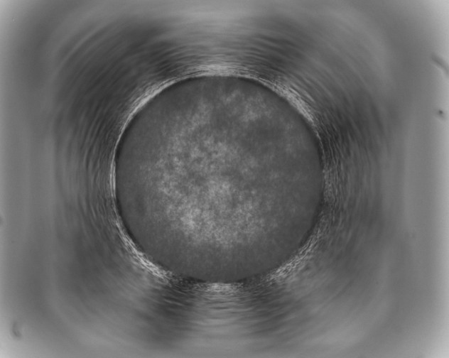 X0000096140839200802081346
