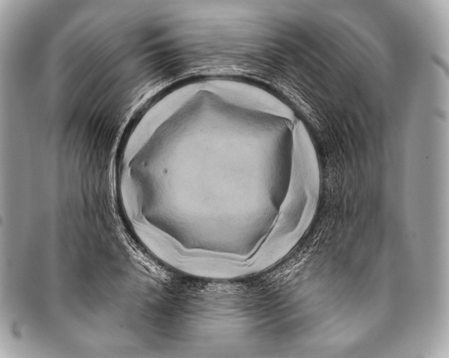 X0000096140840200802081346