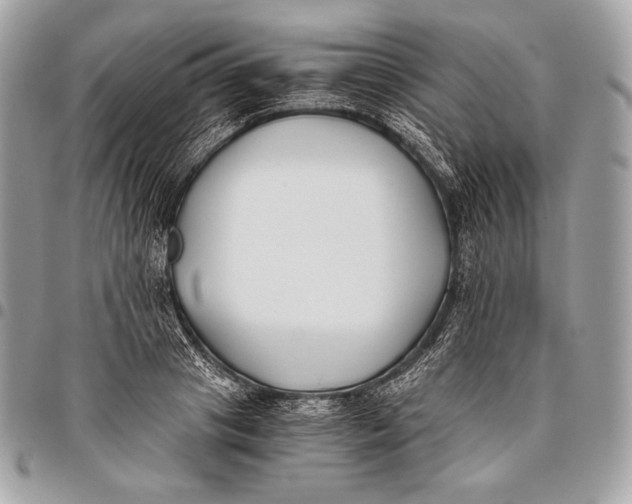 X0000096140841200802081346