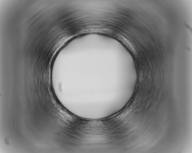 X0000096140844200802081346