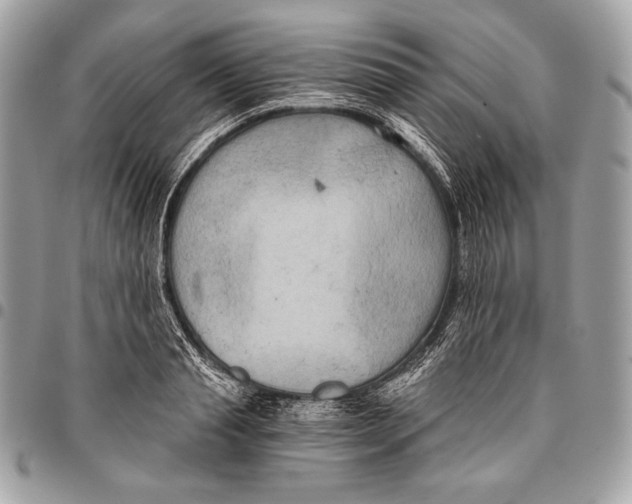 X0000096140845200802081346