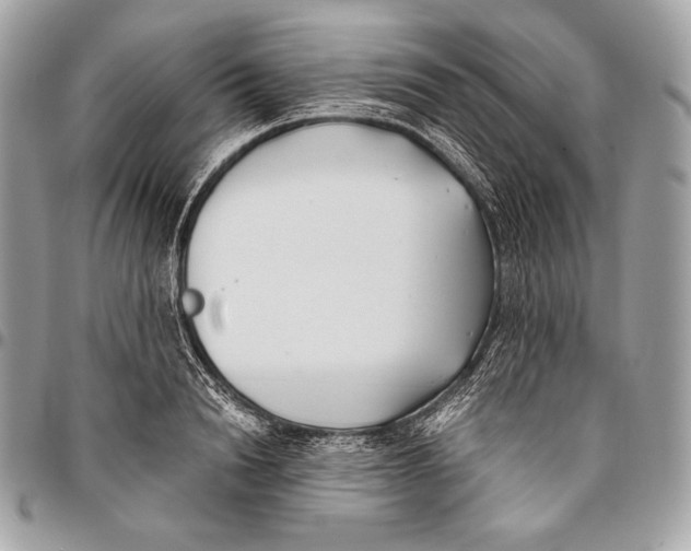 X0000096140846200802081346