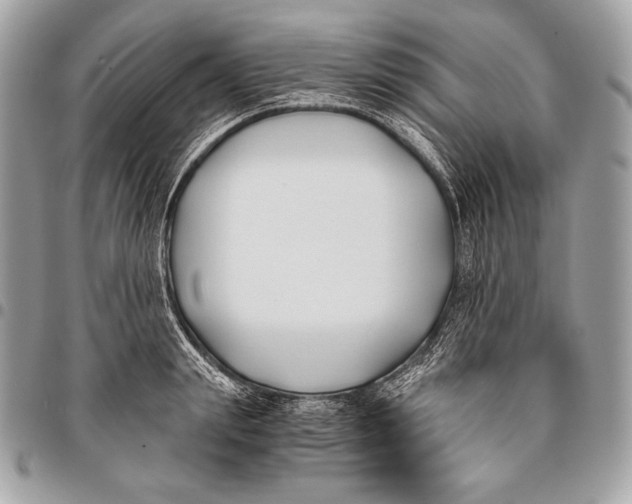 X0000096140847200802081346