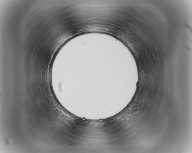 X0000096140848200802081346