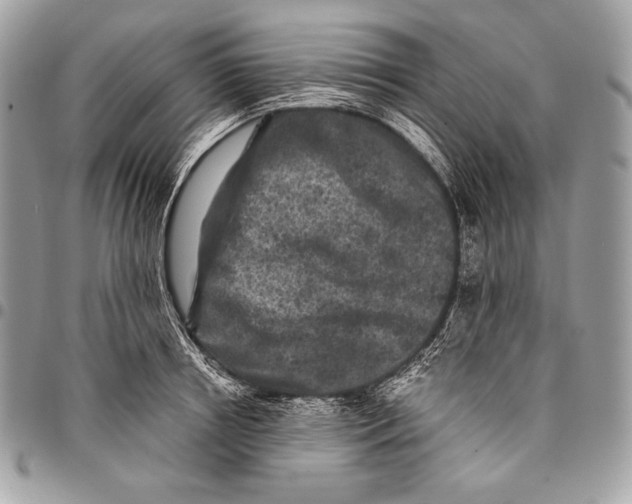 X0000096140850200802081346