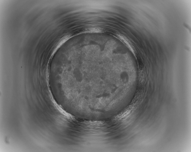 X0000096140851200802081346