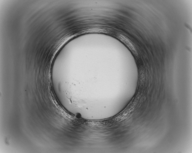 X0000096140852200802081346