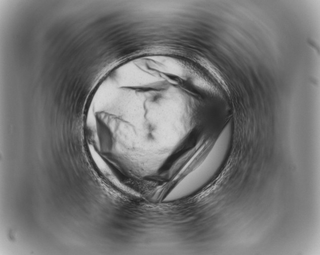 X0000096140853200802081346