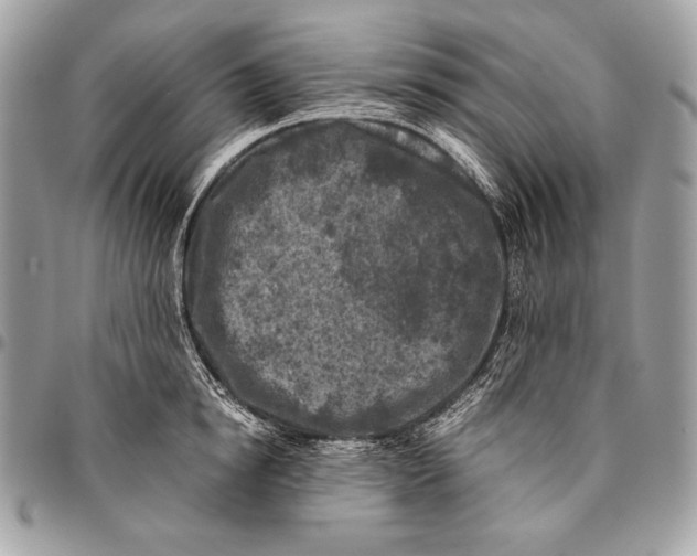 X0000096140854200802081346