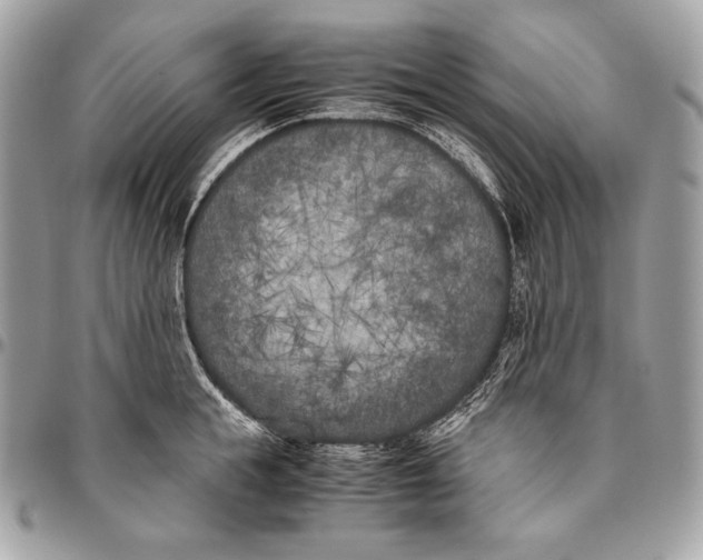 X0000096140855200802081346