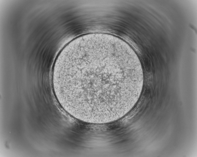 X0000096140856200802081346