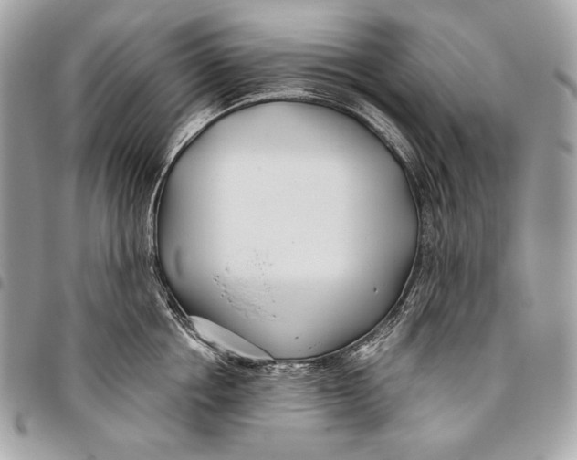 X0000096140858200802081346