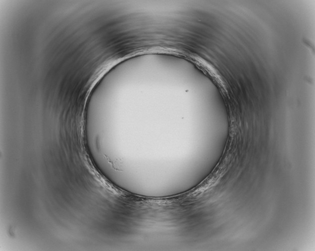 X0000096140860200802081346