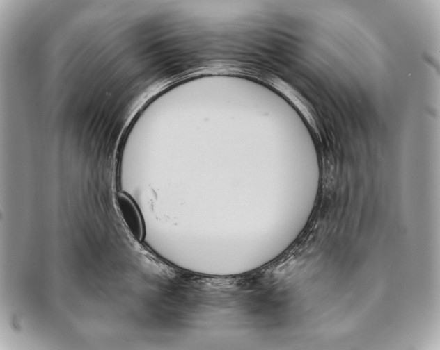X0000096140861200802081346