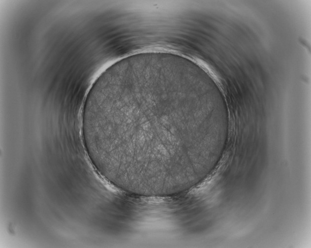 X0000096140862200802081346