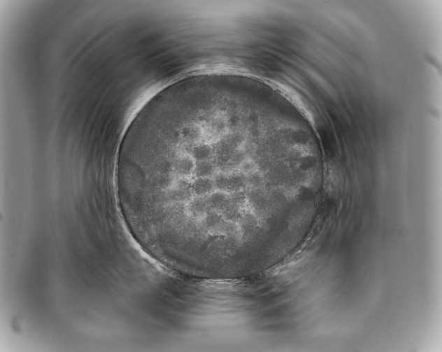 X0000096140863200802081347