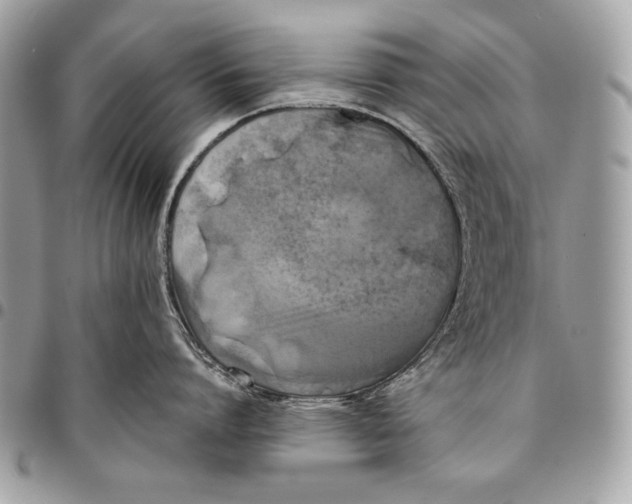X0000096140864200802081347