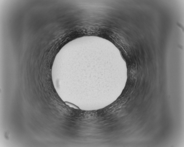 X0000096140865200802081346