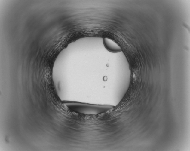 X0000096140867200802081346