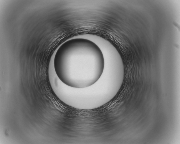 X0000096140868200802081346