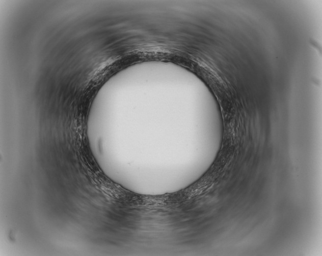 X0000096140870200802081346