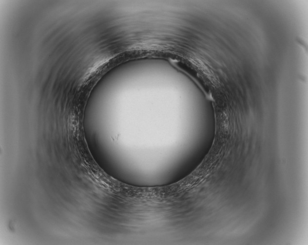 X0000096140872200802081346