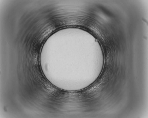 X0000096140873200802081346