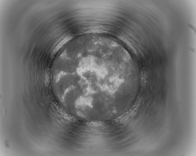 X0000096140874200802081346