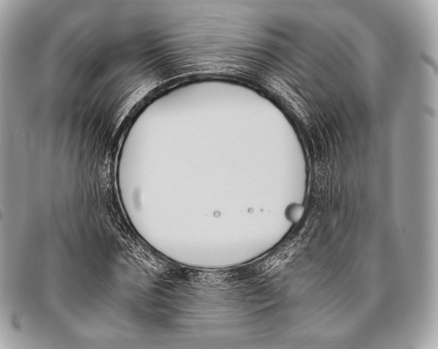 X0000096140875200802081346