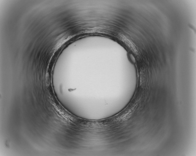 X0000096140876200802081346