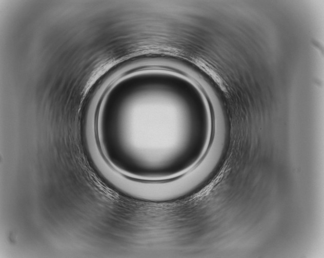 X0000096140877200802081346
